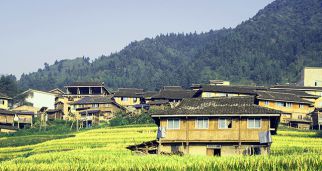 夯實鄉村振興基礎，走出新時代發展路徑